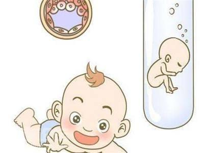 关于包生男孩公司